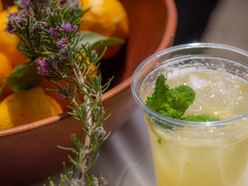 SETODA Bonjour marché-4